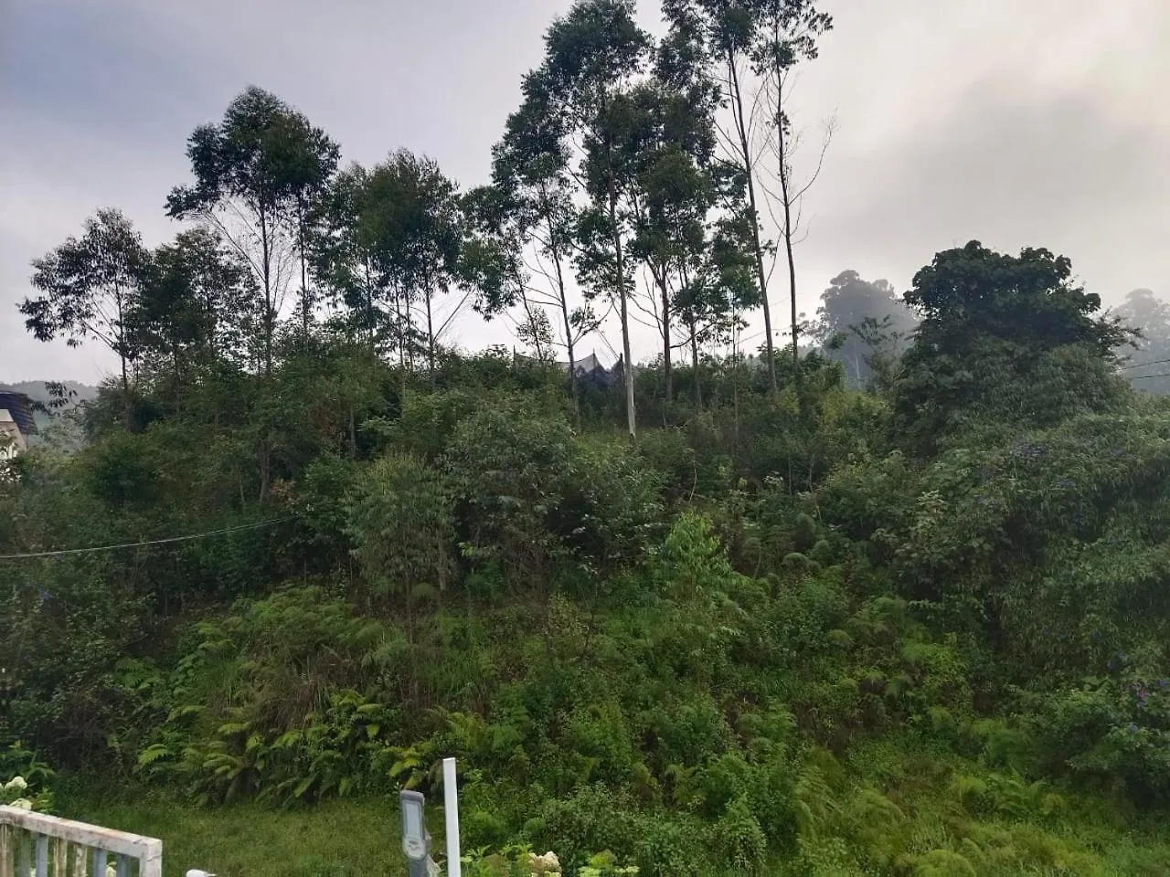 Pavithra Cottage Munnar 0*,  India