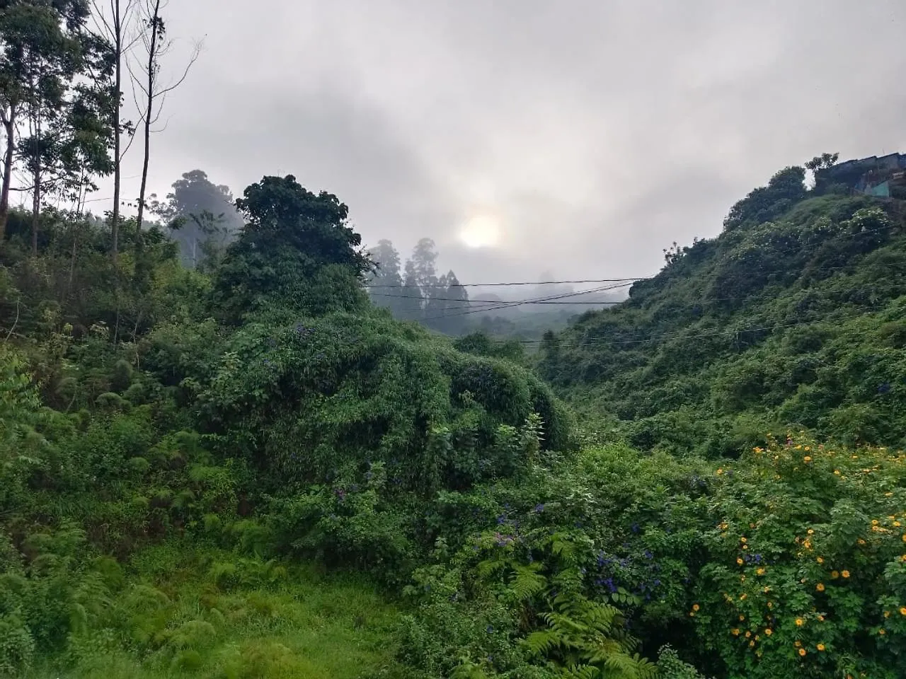 Pavithra Cottage Munnar Villa