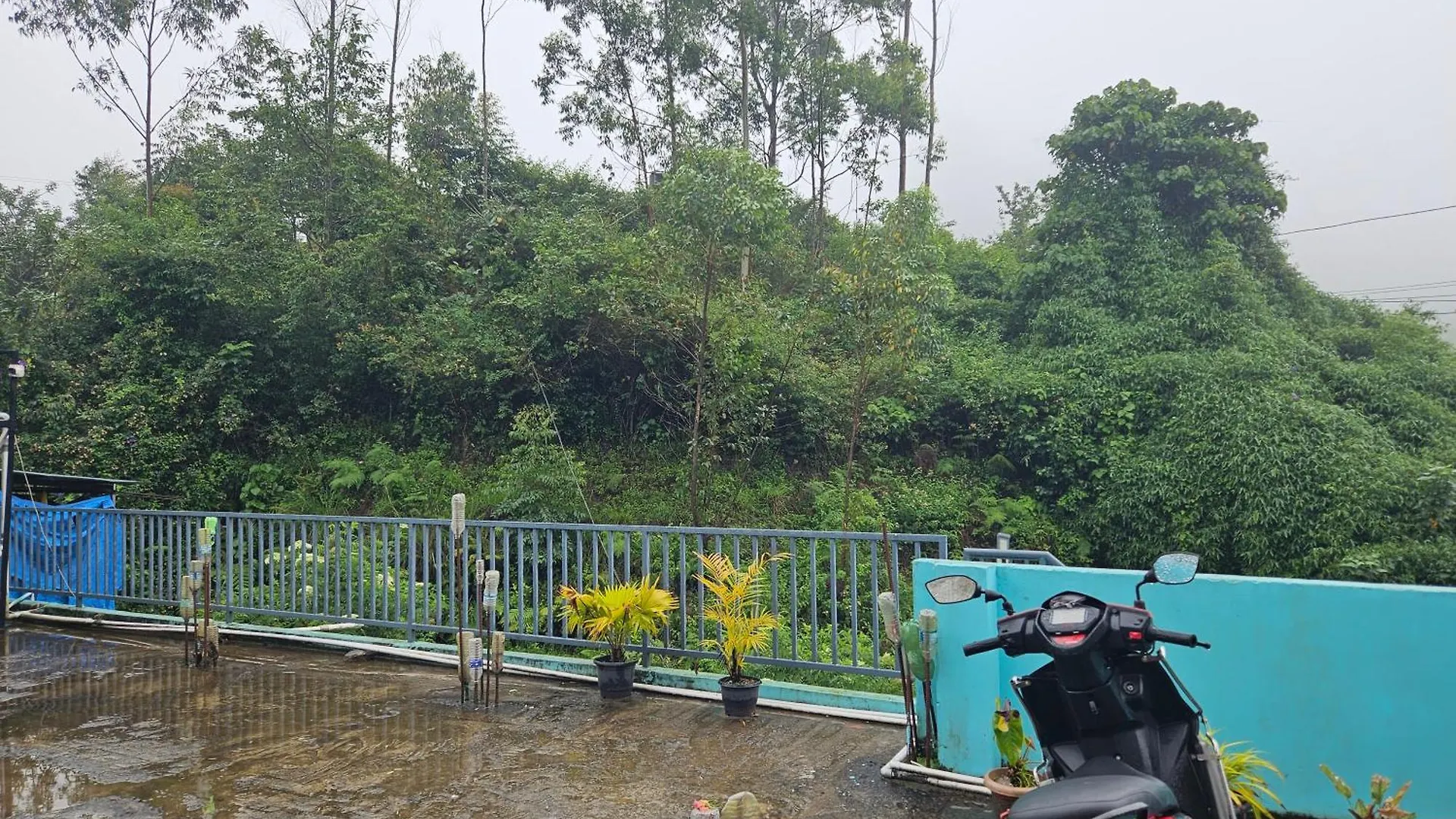 Villa Pavithra Cottage Munnar